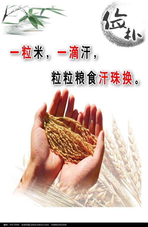 埃杰克斯（Ajax）枫叶卡办理